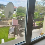 The Bird Bosnek