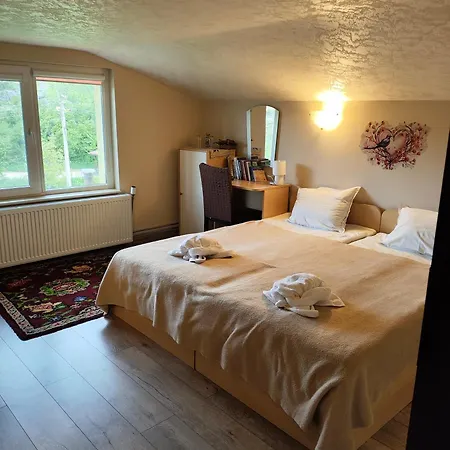 The Bird Konukevi Bosnek