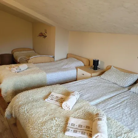 The Bird Maison d'hôtes