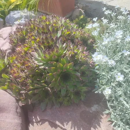 The Bird Maison d'hôtes *