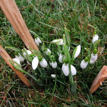 Maison d'hôtes The Bird Bosnek