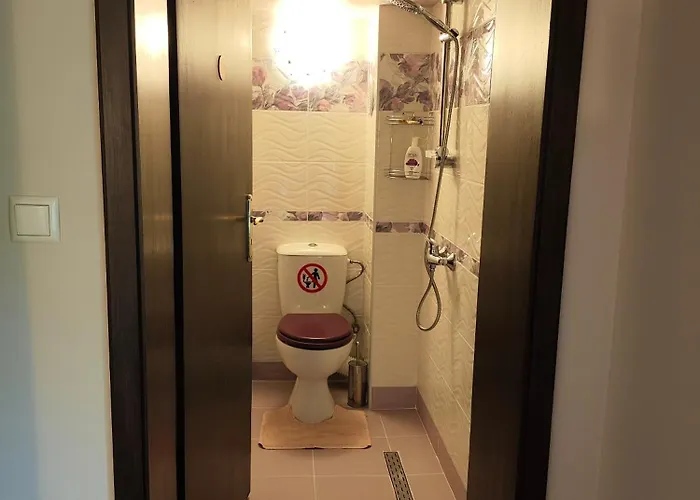 The Bird * Боснек