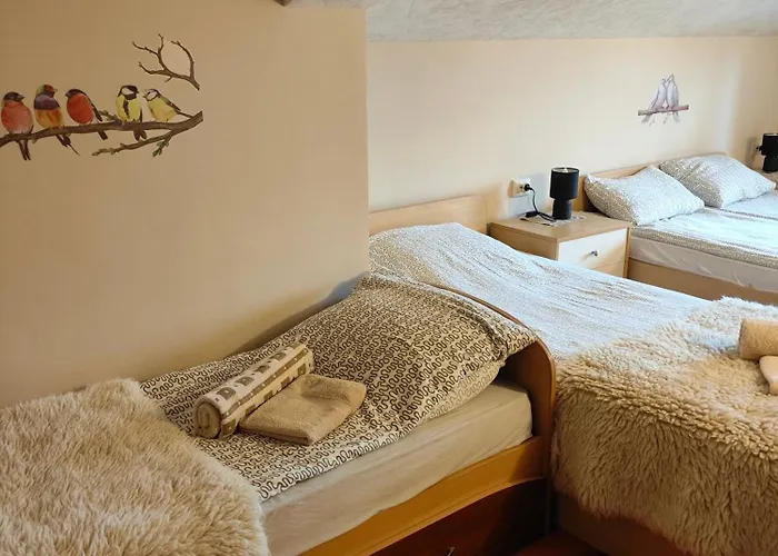 Къща за гости The Bird *