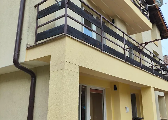 The Bird * Боснек