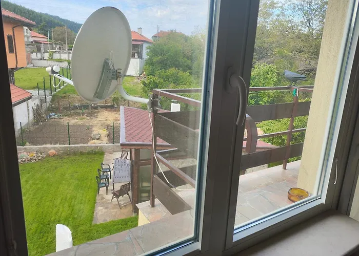 The Bird Боснек