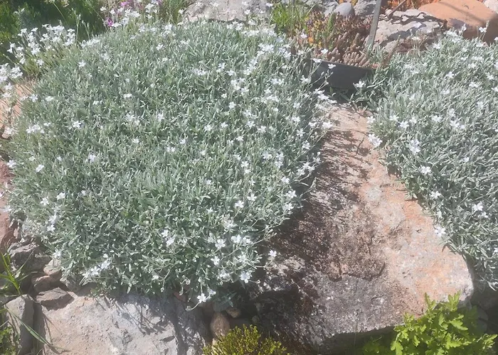 The Bird Къща за гости *