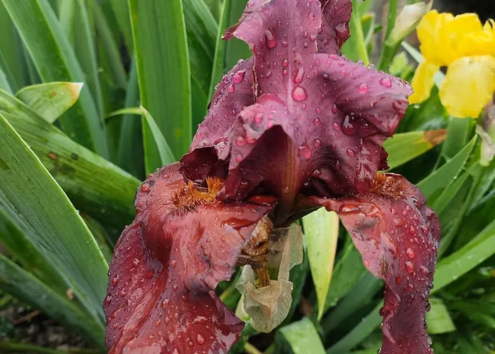 The Bird Къща за гости