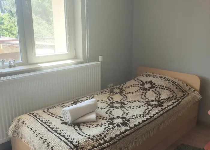 The Bird * Боснек